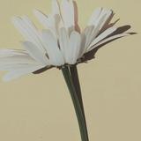 （分類：）位於 。 由 pretty_wardrobe 提交（商品編號 1359821403，圖片 1）。簡介： 。