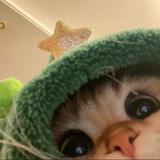 (Category: ) located in . Submitted by ruan_ng (Listing ID 1448983438, Image 1). Description: .