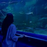 (Category: ) located in . Submitted by aliyasyhra (Listing ID 1463046139, Image 1). Description: .