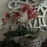 (Category: ) located in . Submitted by sellsprint (Listing ID 1366918023, Image 1). Description: .