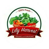 (Kategori: ) berada di . Dikirim oleh lilyharvest (ID iklan 1385201222, Gambar 1). Deskripsi: .