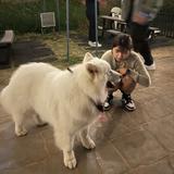 由 jua200011014025 (刊登 ID 1380353050，圖片 1) 提交，位於 的 (類別：)，說明：。