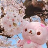 (Category: ) located in . Submitted by kuryukumaqiail-35896 (Listing ID 1353331749, Image 1). Description: .