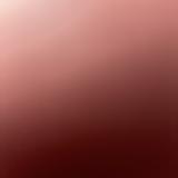 (Category: ) located in . Submitted by seethisstore (Listing ID 1271665998, Image 1). Description: .