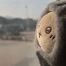 (分類:)位於 。 由 sunghauyi593546 提交(商品編號 1463696612,圖片 1)。簡介: 。