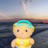 (Category: ) located in . Submitted by ahsrfjh (Listing ID 1385576420, Image 1). Description: .