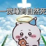 由 kikw0624 (刊登 ID 1466473196,圖片 1) 提交,位於 的 (類別:),說明:。