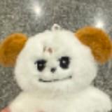 (Category: ) located in . Submitted by kyuyomi (Listing ID 1099720920, Image 1). Description: .