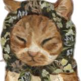 (Kategori: ) berada di . Dikirim oleh meo.meow (ID iklan 1363757509, Gambar 1). Deskripsi: .