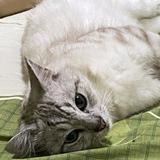 (Kategori: ) berada di . Dikirim oleh prelovedbybizzey (ID iklan 1370821721, Gambar 1). Deskripsi: .