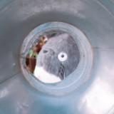 （分類：）位於 。 由 swwyyy 提交（商品編號 1384981152，圖片 1）。簡介： 。