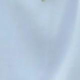 (Category: ) located in . Submitted by tin277 (Listing ID 1450458349, Image 1). Description: .