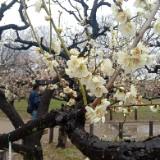 (Category: ) located in . Submitted by biim_san (Listing ID 1376154076, Image 1). Description: .