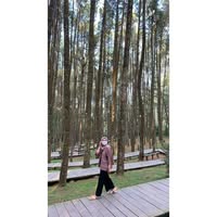 (Kategori: ) berada di . Dikirim oleh dhefy441726 (ID iklan 1385321547, Gambar 1). Deskripsi: .