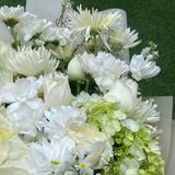 (Kategori: ) berada di . Dikirim oleh peachybunn42425 (ID iklan 1367606241, Gambar 1). Deskripsi: .
