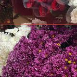 (Kategori: ) berada di . Dikirim oleh 2anddddd (ID iklan 1345257073, Gambar 1). Deskripsi: .
