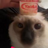 (Category: ) located in . Submitted by chic__cat__closet (Listing ID 1370061060, Image 1). Description: .