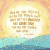 (Category: ) located in . Submitted by daily_gratitude (Listing ID 1381030937, Image 1). Description: .