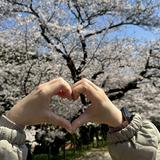 （分類：）位於 。 由 kamankk 提交（商品編號 1324751336，圖片 1）。簡介： 。