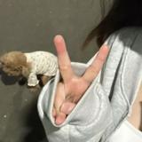 由 liu9088_ (刊登 ID 1384408667，圖片 1) 提交，位於 的 (類別：)，說明：。