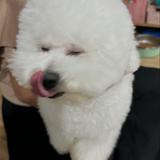 (Category: ) located in . Submitted by prelovedbyhaannahh (Listing ID 1368058100, Image 1). Description: .