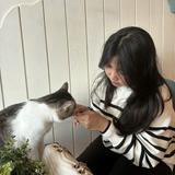 (Kategori: ) berada di . Dikirim oleh chillachu (ID iklan 1369586099, Gambar 1). Deskripsi: .