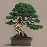 (分類:)位於 。 由 formless_bonsai 提交(商品編號 1446128972,圖片 1)。簡介: 。