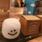 由 maggieeee7 (刊登 ID 1366515420，圖片 1) 提交，位於 的 (類別：)，說明：。