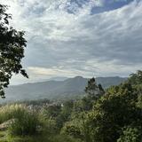 (Kategori: ) berada di . Dikirim oleh ressicae (ID iklan 1385243786, Gambar 1). Deskripsi: .