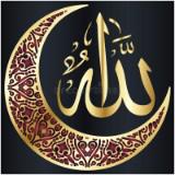 (Category: ) located in . Submitted by safaaz27 (Listing ID 1381419667, Image 1). Description: .