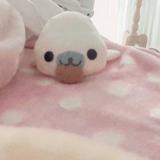 （分類：）位於 。 由 _user4wishh 提交（商品編號 1382166518，圖片 1）。簡介： 。