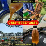 (Kategori: ) berada di . Dikirim oleh alwilemooi39761 (ID iklan 1385703598, Gambar 1). Deskripsi: .