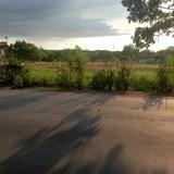 (Category: ) located in . Submitted by audi1230 (Listing ID 1368795094, Image 1). Description: .