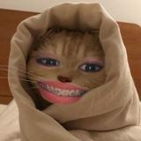 (Category: ) located in . Submitted by mapiagab (Listing ID 1368182363, Image 1). Description: .