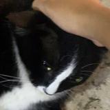 (Category: ) located in . Submitted by slippermixstar (Listing ID 1368066697, Image 1). Description: .