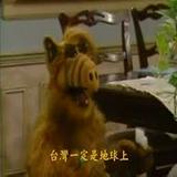 由 joeynotjoy (刊登 ID 1368395860，圖片 1) 提交，位於 的 (類別：)，說明：。