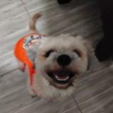 (Category: ) located in . Submitted by chooeyble (Listing ID 1423900473, Image 1). Description: .