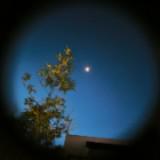 (Category: ) located in . Submitted by half0fhim (Listing ID 1368254929, Image 1). Description: .