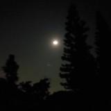 （分類：）位於 。 由 xxq.png 提交（商品編號 1381218115，圖片 1）。簡介： 。
