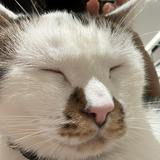 （分類：）位於 。 由 wkwowey 提交（商品編號 1368469524，圖片 1）。簡介： 。