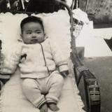 由 bigbenshann (刊登 ID 1379213793,圖片 1) 提交,位於 的 (類別:),說明:。