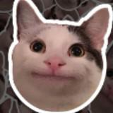 (Category: ) located in . Submitted by breakthebarricade (Listing ID 1367594506, Image 1). Description: .