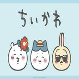 （分類：）位於 。 由 daddypig394 提交（商品編號 1371959673，圖片 1）。簡介： 。