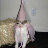 （分類：）位於 。 由 elgatocat 提交（商品編號 1316024337，圖片 1）。簡介： 。
