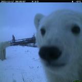 （分類：）位於 。 由 le2007616820 提交（商品編號 1377587711，圖片 1）。簡介： 。