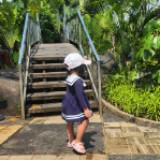 (Kategori: ) berada di . Dikirim oleh cicafalisha (ID iklan 1351791932, Gambar 1). Deskripsi: .