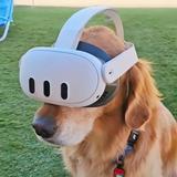 （分類：）位於 。 由 techdog 提交（商品編號 1372717061，圖片 1）。簡介： 。