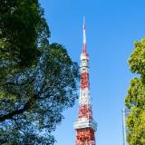 （分類：）位於 。 由 wywwyw 提交（商品編號 1376555944，圖片 1）。簡介： 。