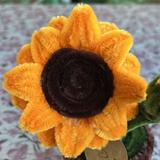 (Category: ) located in . Submitted by 04082021 (Listing ID 1379055150, Image 1). Description: .