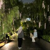 (Category: ) located in . Submitted by ameera_00 (Listing ID 1368945798, Image 1). Description: .